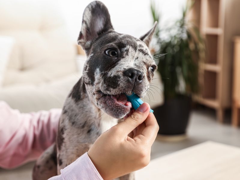 tooth-brushing